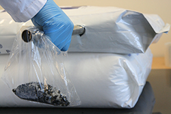 Sack Sampler